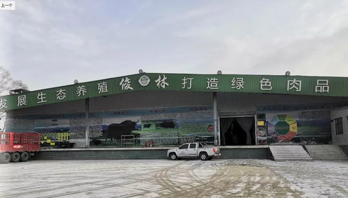 临夏市电子商务公共服务中心 赋能企业电商转型 激发经济新动能