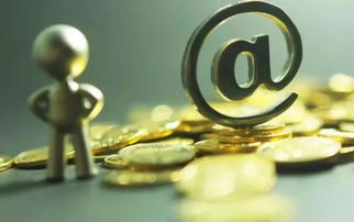 网库平台 连接优质商务服务厂家与合理价格的桥梁