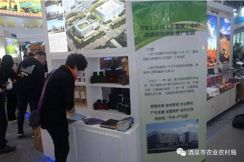 酒泉农产品品牌借船出海，电商博览会展现独特魅力