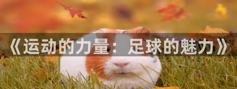 64体育：《运动的力量：足球的魅力》