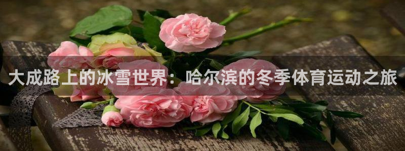 64体育：大成路上的冰雪世界：哈尔滨的冬季体育运动之旅
