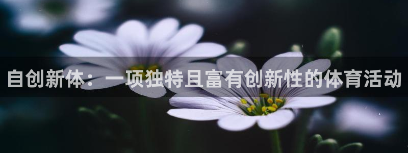 64体育：自创新体：一项独特且富有创新性的体育活动