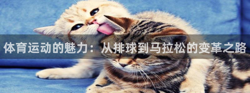 64体育：体育运动的魅力：从排球到马拉松的变革之路
